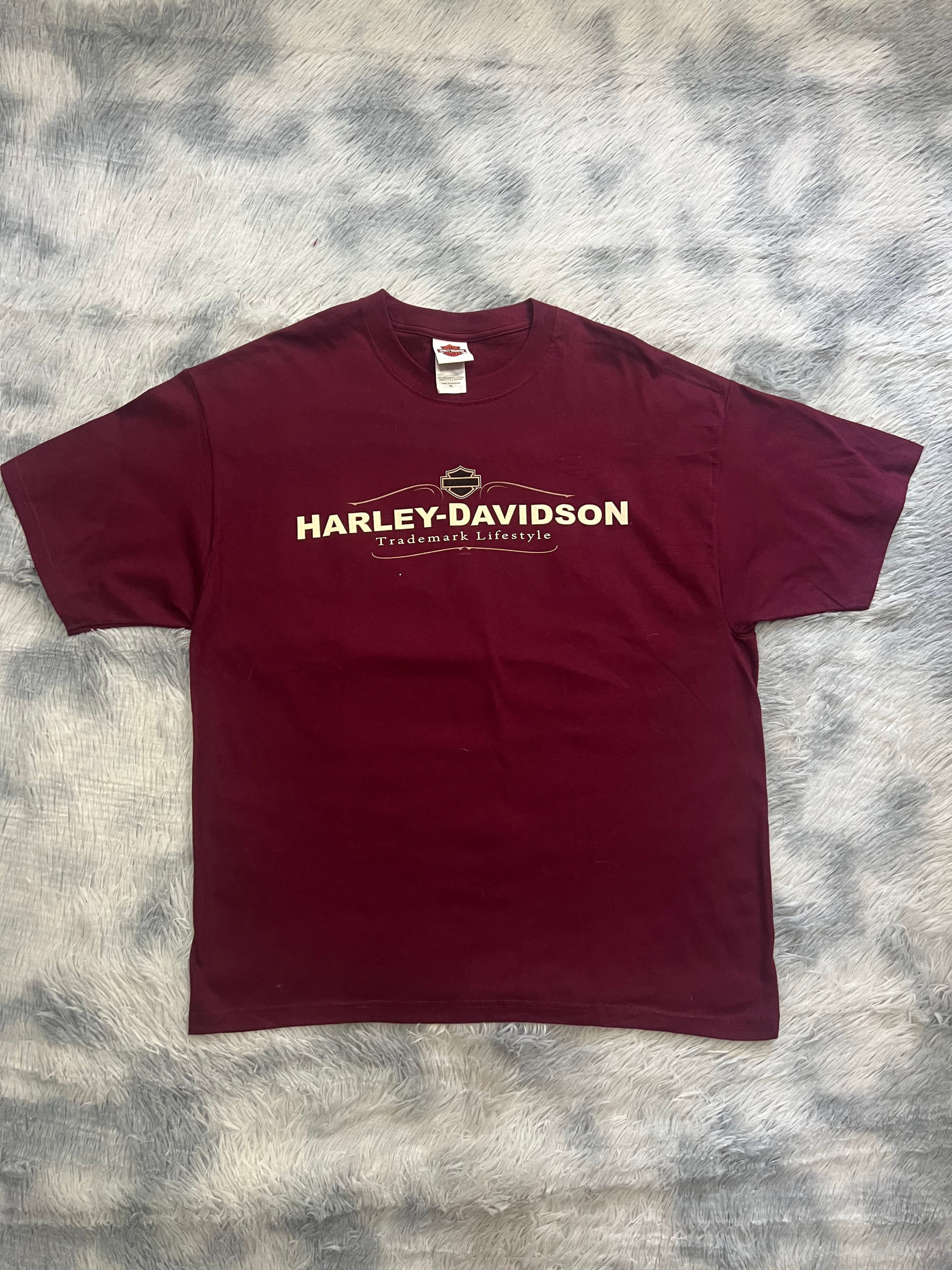 2010 Harley Davidson