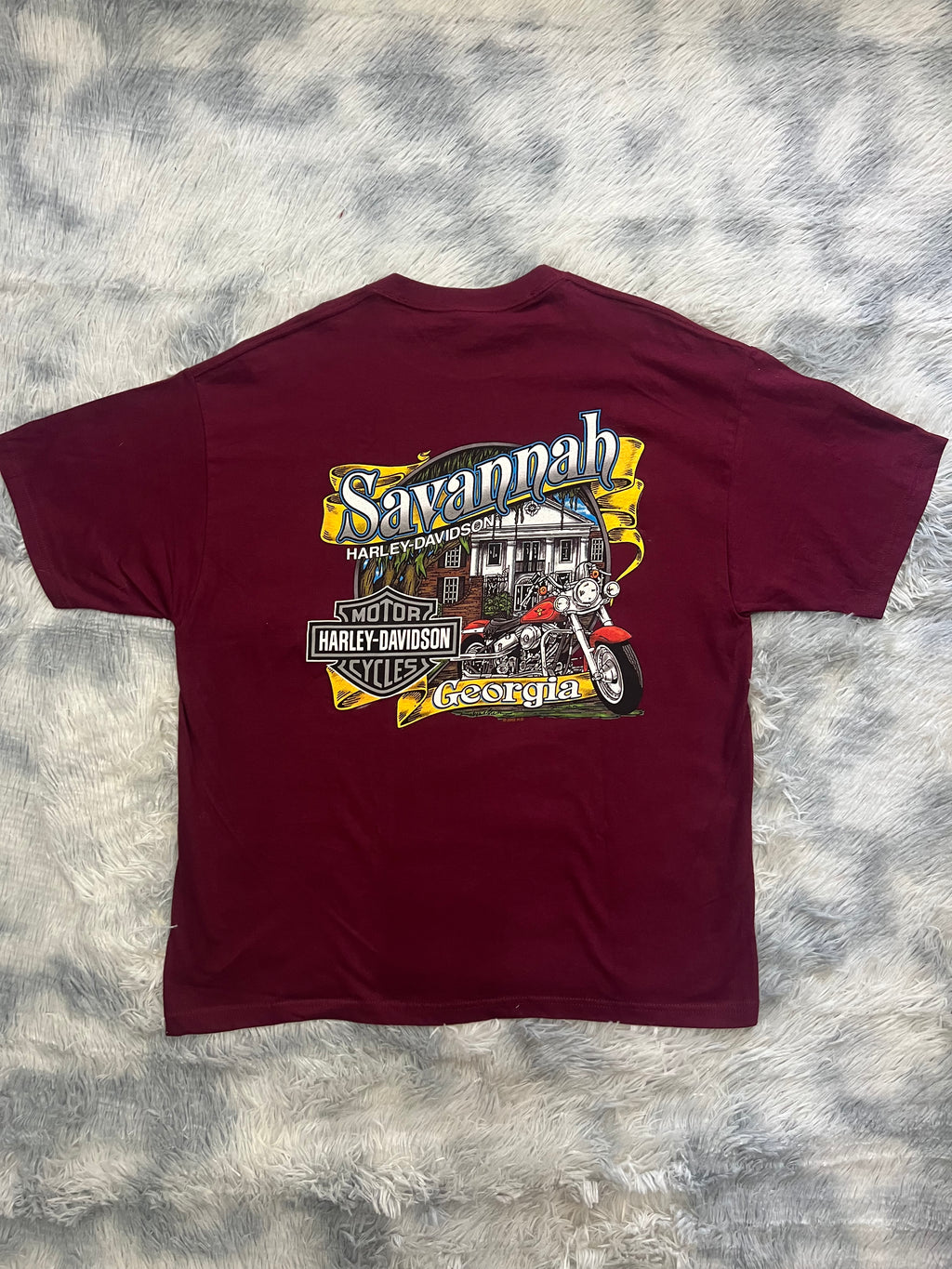 2010 Harley Davidson